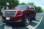 Cadillac Escalade on Forgiato Wheels (Insetto-M) 2017 года